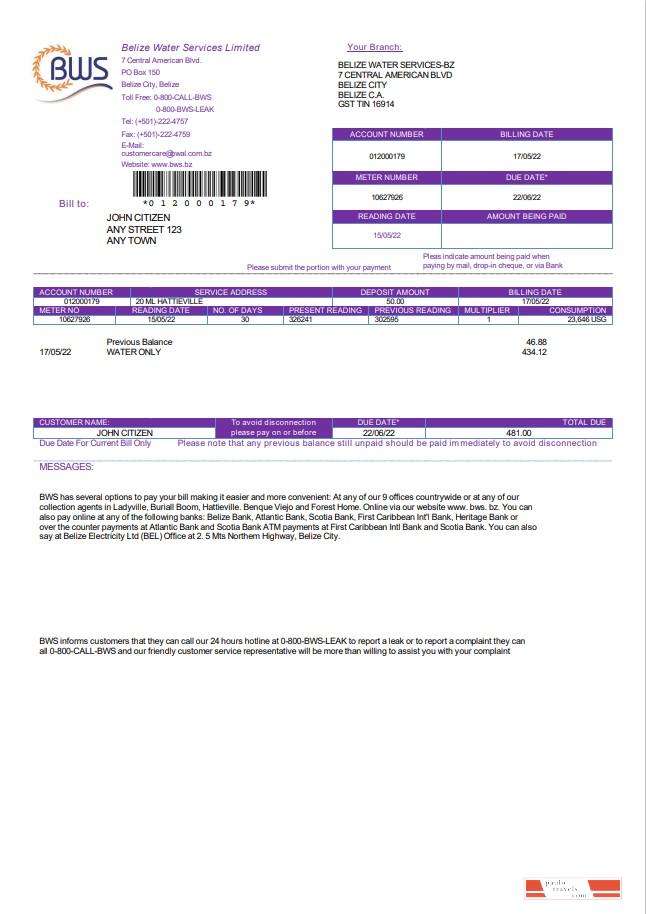 Belize Water Services Limited utility bill template in Word and PDF format